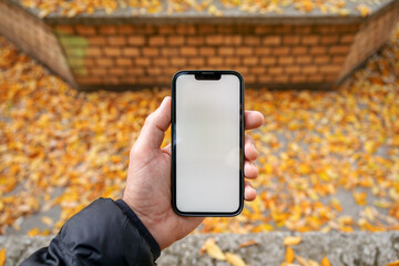 Smartphone mockup, man holding mobile phone in park in autumn morning