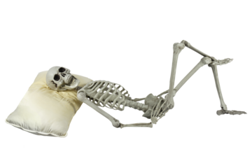 Human skeleton plastic model sleep on a pillow isolated full transparent PNG.