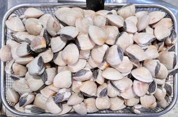 Clams, Clams in the basket background. Clams in the fish market