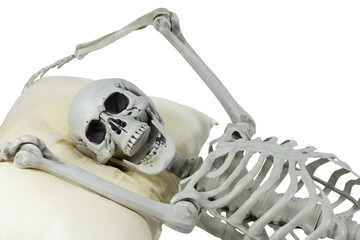 Human skeleton plastic model sleep on a pillow isolated full transparent PNG.