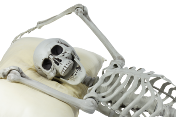 Human skeleton plastic model sleep on a pillow isolated full transparent PNG.