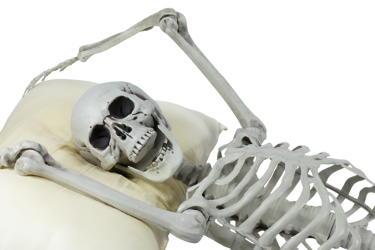 Human skeleton plastic model sleep on a pillow isolated full transparent PNG.