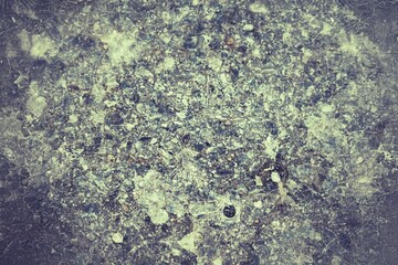 green moss on the stone