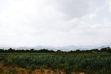 Rural scene in L'Empord&agrave;, Figueres, Girona, Catalonia, Spain with mountains in the background