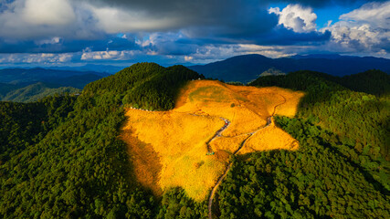 View Landscape nature of golden mountain  Mexican sunflower field name Tung Bua Tong in Maehongson Thailand Asia