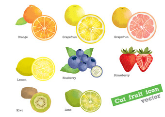 フルーツ, セット, アイコン, シンボル, 水彩, 果物, オレンジ, グレープフルーツ, ピンクグレープフルーツ, レモン, ブルーベリー, いちご, キウィフルーツ, ライム, ベクター, イラスト, 食べ物, コレクション, 模様, キウイフルーツ, トロピカル, 白、手書き、ジュース、カットフルーツ、断面図、葉、緑