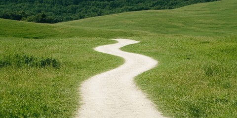 Winding path through lush green grass under a clear sky.