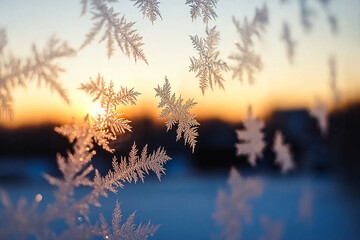 Close-Up of Winter Frost Patterns and Ice Crystals on Glass: Chilling Cold Weather Background