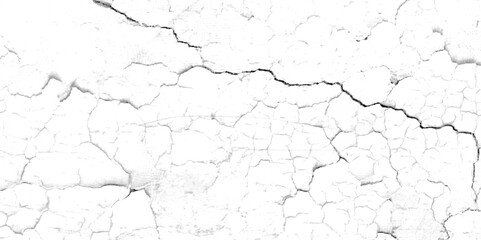 Vector grunge black and white crack paper texture design and texture of a concrete wall with cracks and scratches background. Abstract dust particle noise grunge and dust gain texture. 