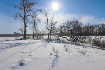 winter snowbound forest glade at cold sunny day