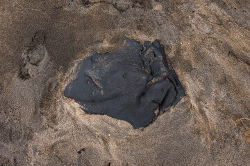Close up of natural texture, color and shape from Iceland. Beautiful abstract and artistic nature for background.
