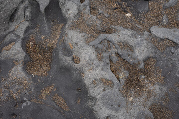 Close up of natural texture, color and shape from Iceland. Beautiful abstract and artistic nature for background.