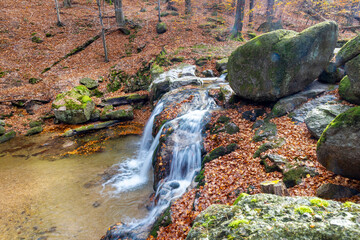  Beech trees wood (Protected by UNESCO), Jizera mountains, North Bohemia, Czech republic
