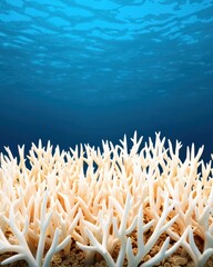 Carbon footprint and global warming efficiency concept. Underwater scene featuring vibrant coral formations against a deep blue backdrop highlighting the beauty and diversity of marine life
