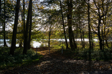 Herbstlicher Wanderweg am Nord-Ostsee-Kanal bei Rendsburg