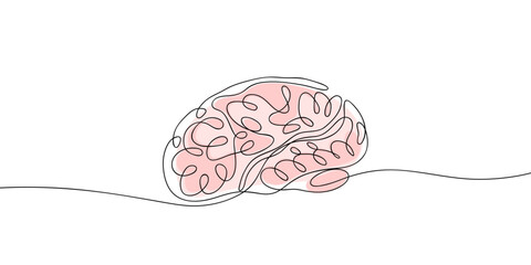 Continuous line drawing of human brain. Minimalist black linear sketch isolated on white background. Hand drawn vector illustration.