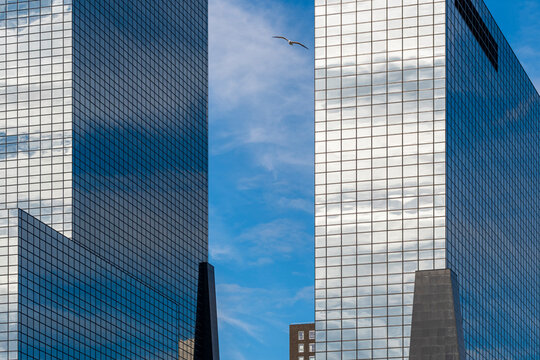 Two towering modern skyscrapers rise against a clear blue sky, separated by a small gap where a single bird is in flight, exemplifying urban architecture in Rotterdam