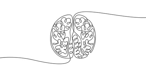 Continuous line drawing of human brain. Minimalist black linear sketch isolated on white background. Hand drawn vector illustration.