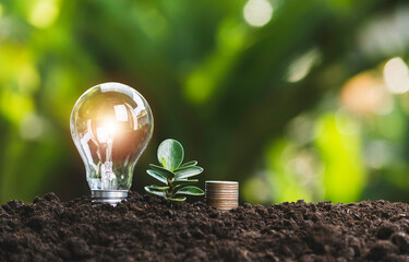 Energy saving light bulb and tree growing on stacks of coins on nature background. Saving, accounting and financial concept.