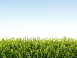 Artificial green grass background with realistic texture for design projects, grass