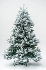 Tall snow-covered Christmas tree isolated on a white background, showcasing dense frosty branches and a serene winter vibe.