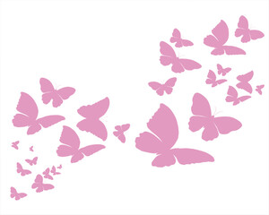 pink butterfly on white background	