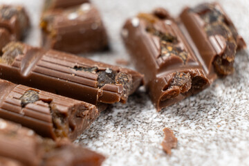 Milk chocolate pieces with raisins on a gray stone background.