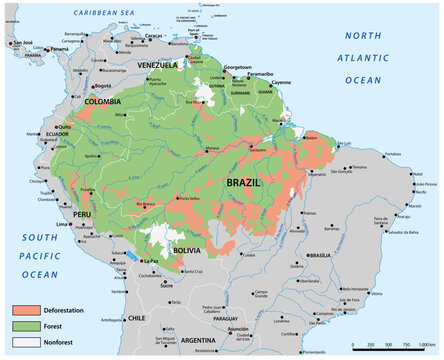 Map of the condition of the Amazon rainforest