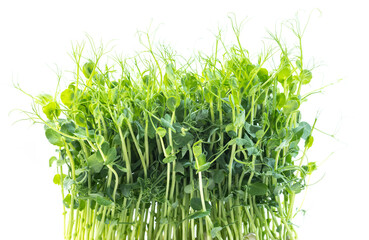 Organic microgreen pea photography . Healthy food . Top view