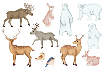 Christmas animals png sticker, cute polar bear, reindeer set, transparent background