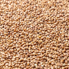 Buckwheat Grains on Plate on Wooden Background, Top View, Copy Space.Hulled kernels of buckwheat grains close up. Food background.