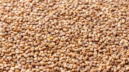 Buckwheat Grains on Plate on Wooden Background, Top View, Copy Space.Hulled kernels of buckwheat grains close up. Food background.