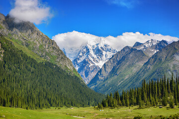 Idyllic summer landscape with hiking trail in the mountains with beautiful fresh green mountain...