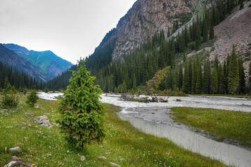 Idyllic summer landscape with hiking trail in the mountains with beautiful fresh green mountain...