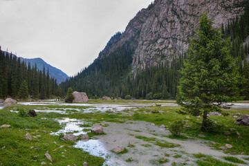 Idyllic summer landscape with hiking trail in the mountains with beautiful fresh green mountain pastures, river with reflection and forest.