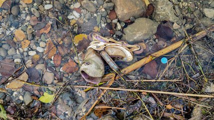 Discarded rollerblades and plastic waste in a stream symbolize environmental pollution and the urgent need for Earth Day action