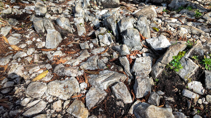 A close-up of a rugged, rocky landscape with small green plants, symbolizing resilience and the natural erosion process