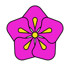 Tulip Pink Flower Illustration