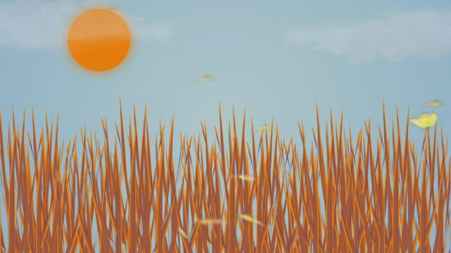 the view one day, with butterflies playing, grass and sky