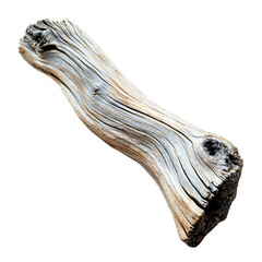 A smooth, weathered piece of driftwood with unique textures and patterns, set against a black background.