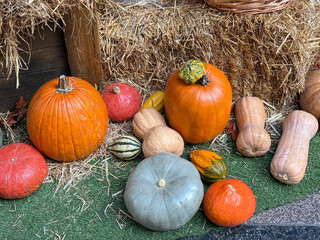 Vibrant display of autumn harvest and Halloween decorations