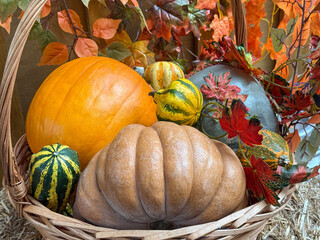 Colorful autumn harvest display with pumpkins and foliage