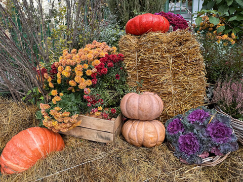 Autumn harvest display with pumpkins and colorful flowers