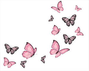 flock new butterfly pink art vector.eps