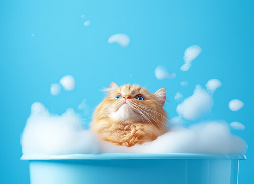 A fluffy orange cat enjoying a bubble bath in a blue tub against a vibrant background