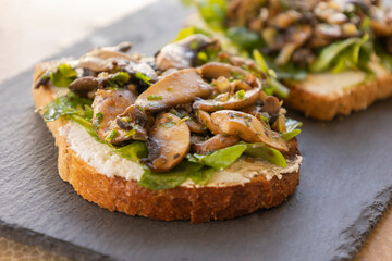  Toasted Bread with Ricotta, Arugula, and Mushrooms – Close-Up