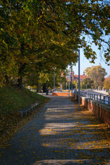 autumn in the city