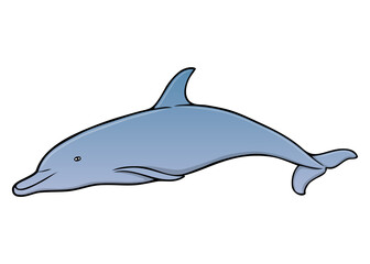 dolphin vector illustration