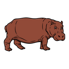 hippopotamus vector illustration