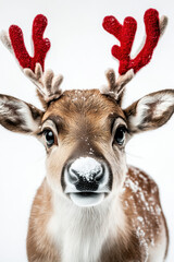 Small Christmas Reindeer Standing on White